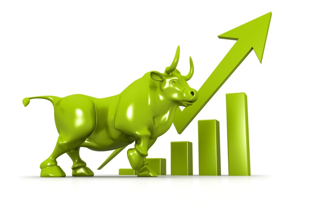 bull- market